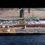 photo 2021-11-27 12-21-51