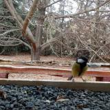 photo 2021-11-01 15-11-00