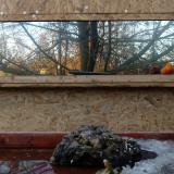 photo 2022-01-24 15-45-46