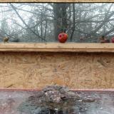 photo 2022-01-16 10-07-59