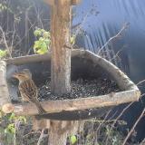 photo 2019-12-20 12-23-39