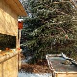 photo 2022-01-09 11-02-30