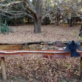 photo 2021-10-26 07-56-22