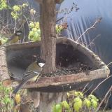 photo 2019-12-14 12-39-04