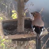 photo 2019-12-22 13-18-54