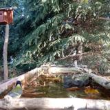 photo 2023-10-16 09-56-47