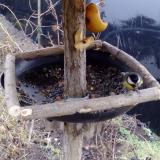 photo 2019-02-05 15-53-47