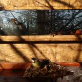 photo 2022-01-24 09-16-31