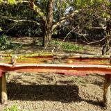 photo 2021-04-12 09-50-51