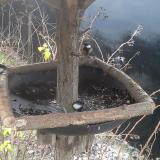 photo 2019-12-27 08-38-20