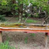 photo 2021-04-28 10-33-03