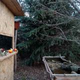 photo 2021-12-19 08-48-58