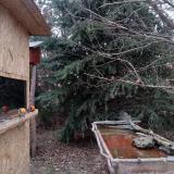 photo 2021-12-27 09-48-28