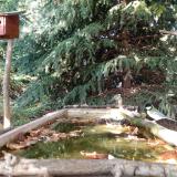 photo 2023-10-04 15-32-22