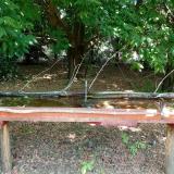 photo 2021-07-04 12-34-08