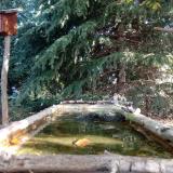 photo 2023-10-12 10-09-09