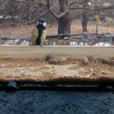 photo 2021-11-10 10-06-01