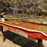 photo 2021-03-31 13-53-19