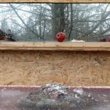 photo 2022-01-16 14-18-15