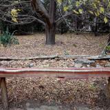 photo 2021-10-21 15-13-22