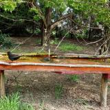 photo 2021-04-27 09-10-15