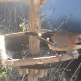 photo 2019-12-26 10-12-10