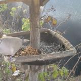 photo 2019-12-11 07-36-48