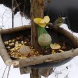 photo 2019-01-12 13-38-39