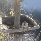 photo 2019-12-29 09-59-31