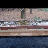 photo 2021-11-29 14-26-14