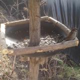 photo 2019-02-22 10-34-21