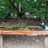 photo 2021-08-23 15-08-32