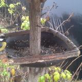 photo 2019-12-14 11-16-15