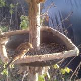 photo 2019-12-16 14-14-04