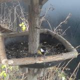 photo 2019-12-26 09-05-30