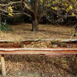 photo 2021-10-22 09-49-52