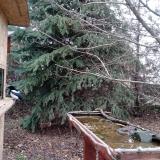 photo 2021-12-11 13-30-17