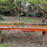 photo 2021-04-17 16-56-17