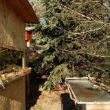 photo 2022-01-12 12-59-43