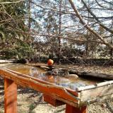 photo 2022-03-13 09-48-33