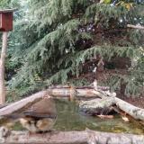 photo 2023-10-13 17-19-15