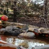 photo 2022-03-28 08-00-51 vorosbegy