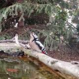 photo 2023-10-12 17-40-24