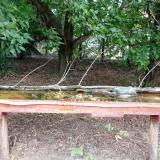 photo 2021-08-08 07-12-00