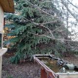 photo 2021-12-13 15-06-53