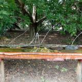 photo 2021-08-23 15-09-12