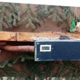 photo 2021-02-19 10-20-40