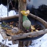 photo 2019-01-14 08-02-47