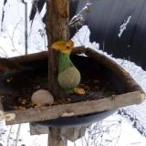 photo 2019-01-20 11-33-02