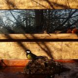 photo 2022-01-24 09-25-01